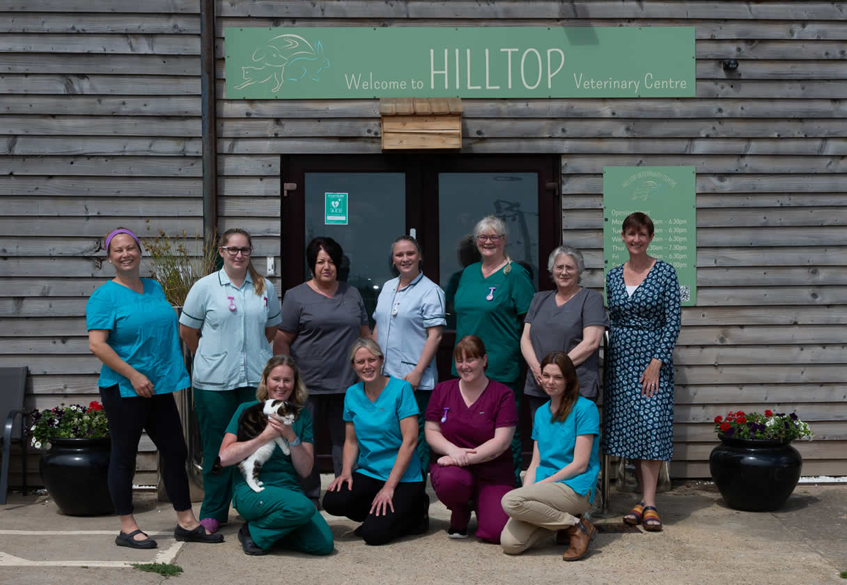 Staff at Hilltop vets Oxford