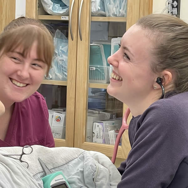 Smiling vet nurses